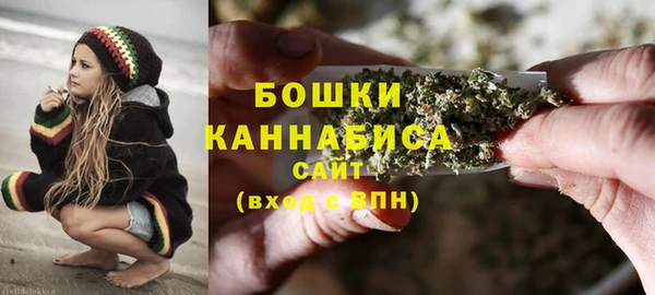 МДПВ Липки