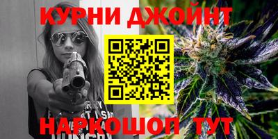 сатива Будённовск