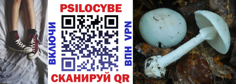 Галлюциногенные грибы прущие грибы  Волжский 