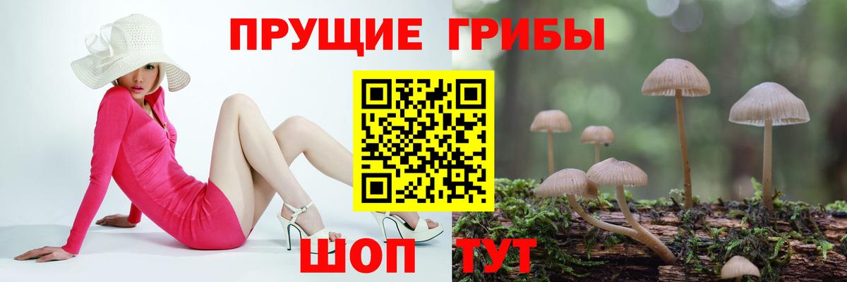Псилоцибиновые грибы мицелий  Вход с VPN  Псилоцибиновые грибы Psilocybe  Волжский 